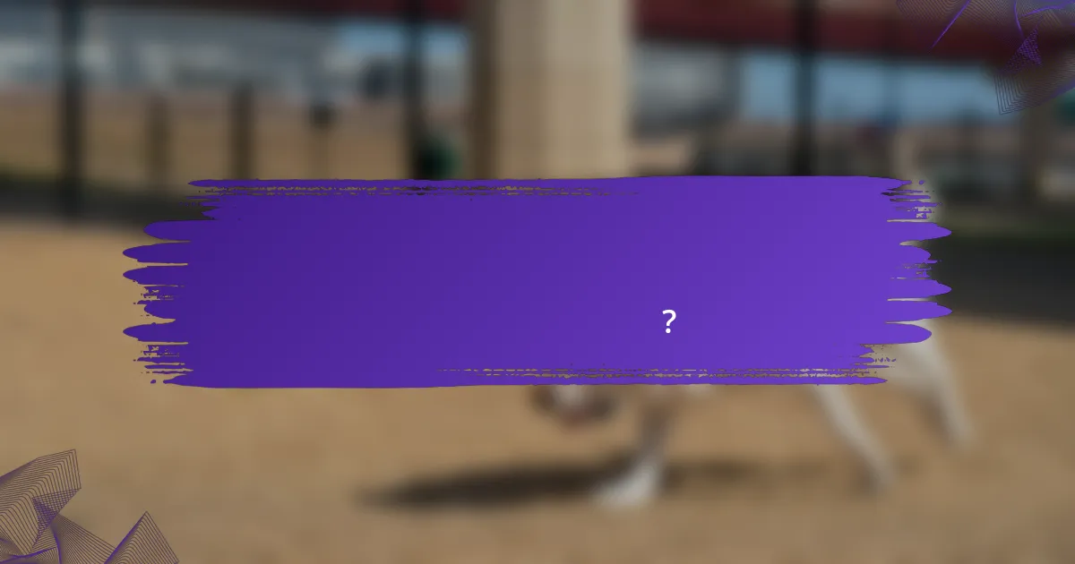 ২০২৩ সালে শীর্ষ স্প্যানিশ টেনিস খেলোয়াড়রা কে?