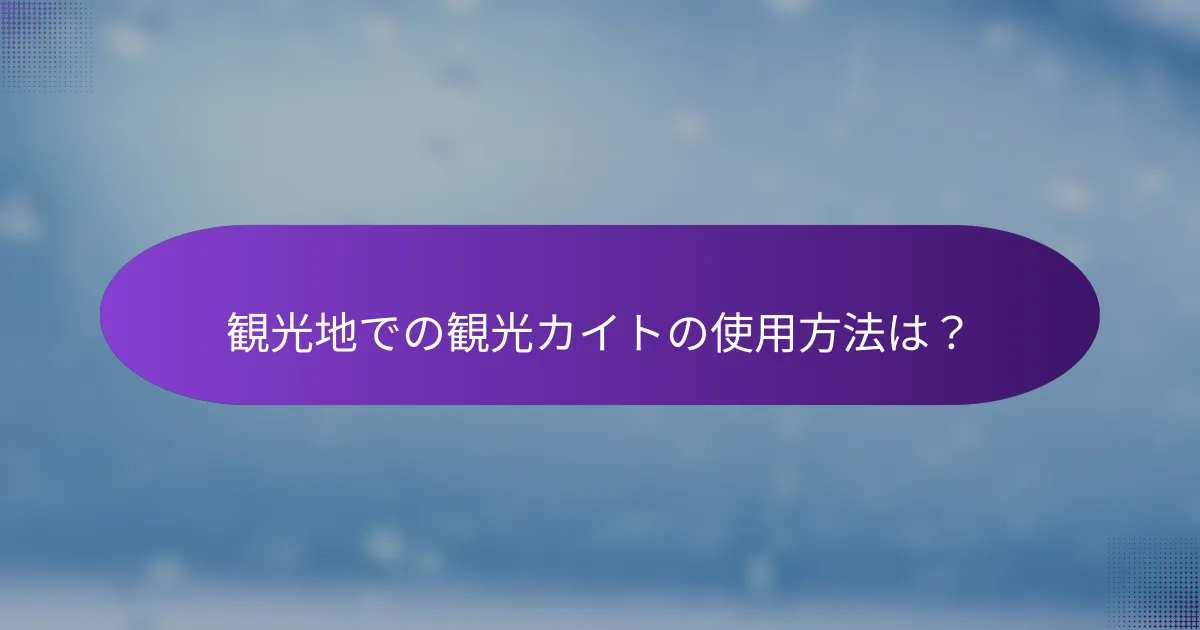 観光地での観光カイトの使用方法は？