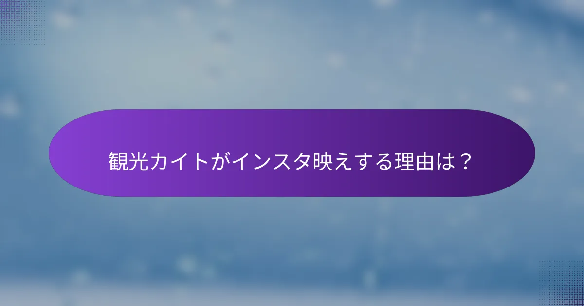 観光カイトがインスタ映えする理由は？
