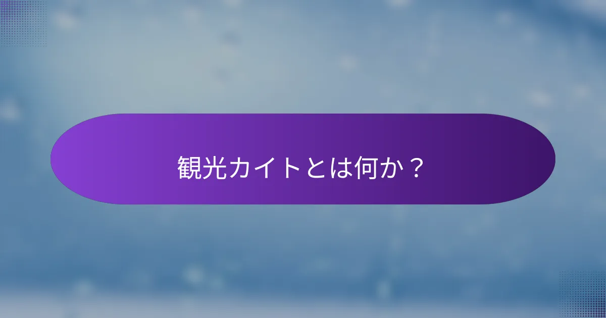 観光カイトとは何か？