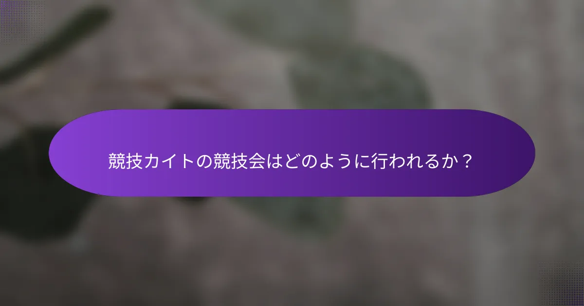 競技カイトの競技会はどのように行われるか?