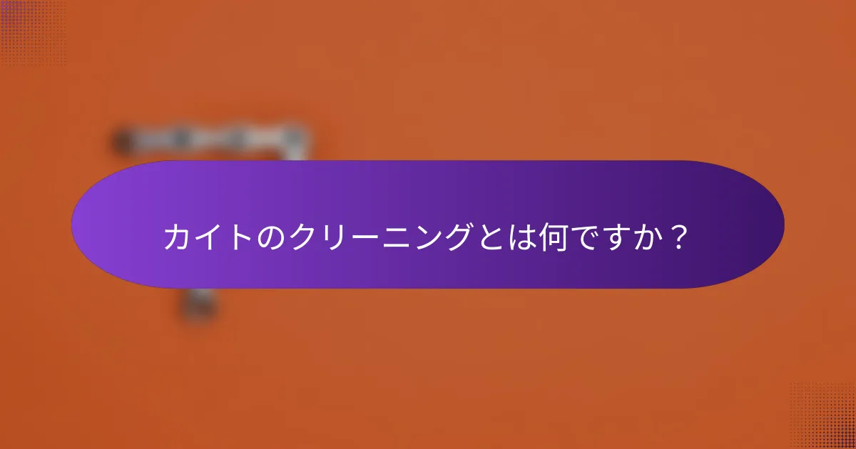 カイトのクリーニングとは何ですか?