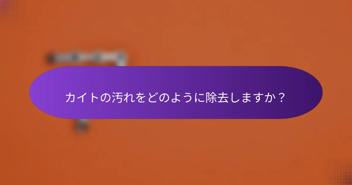 カイトの汚れをどのように除去しますか?