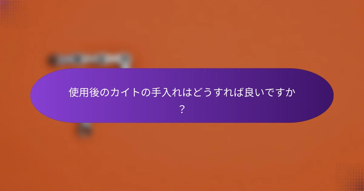 使用後のカイトの手入れはどうすれば良いですか?